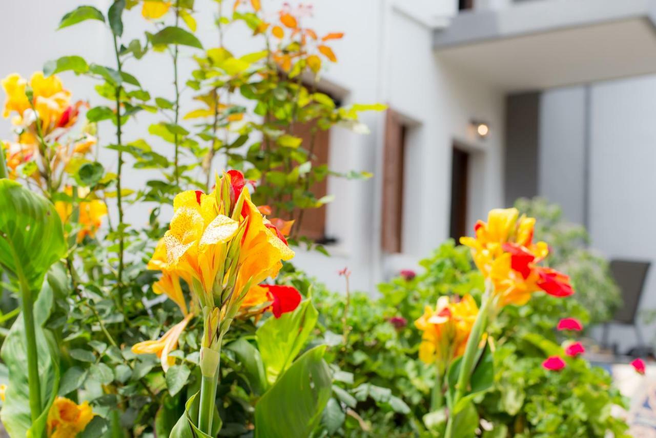 Stellar Apartments I Platanés Zewnętrze zdjęcie